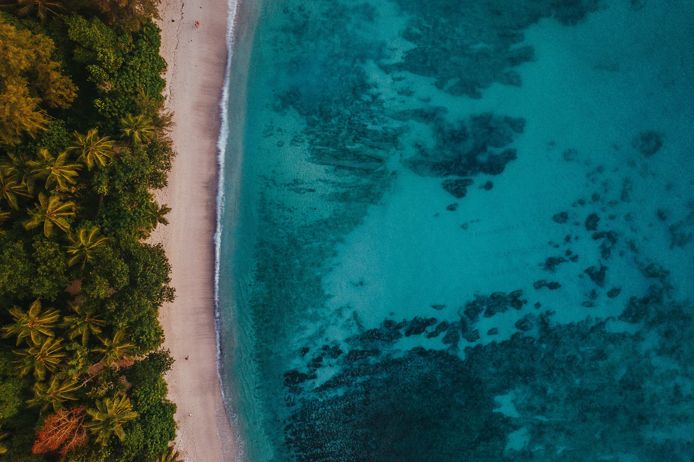Forest edge and shallow turquoise reef
