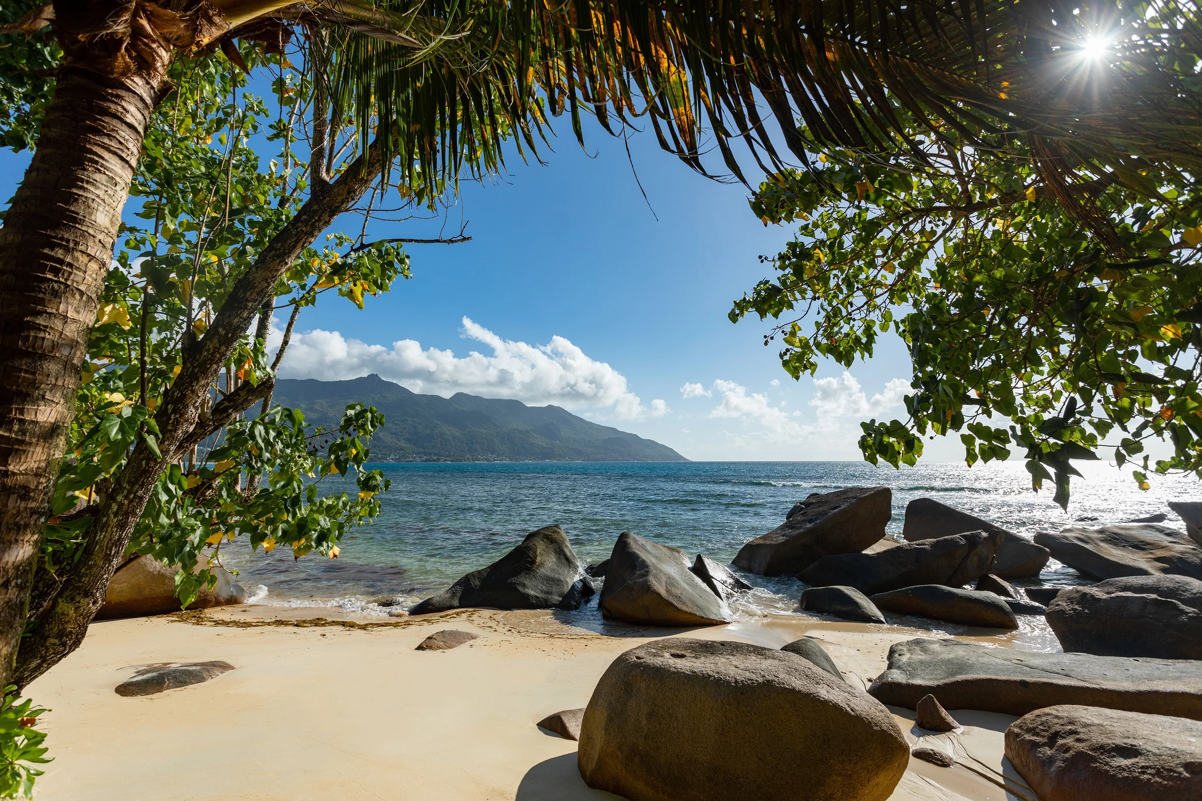 Granite boulders and palms beside the sea